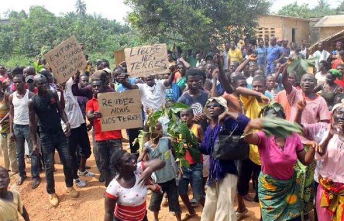 Land attack in Notto Diobass: The population angry – Lequotidien