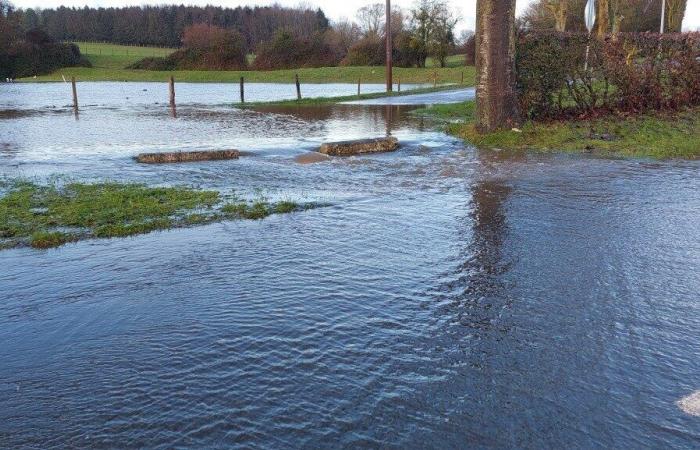 Impressive images of the Epte flood in the countryside around Gournay-en-Bray