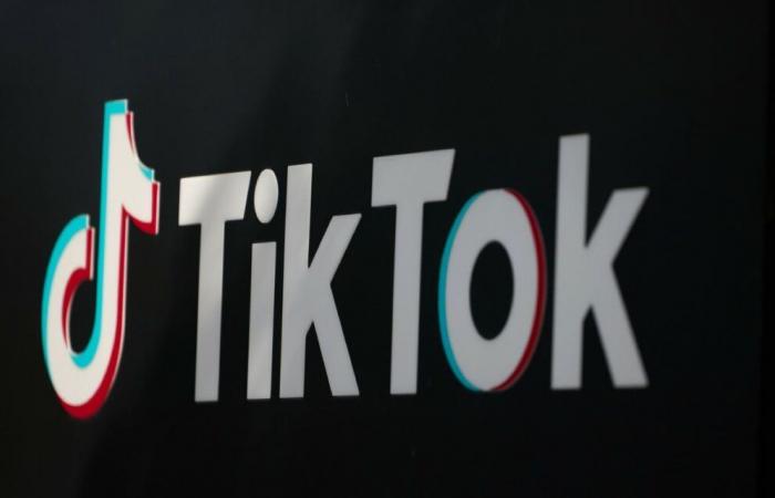 Hateful video on TikTok: a Franco-Algerian influencer in police custody in Lyon