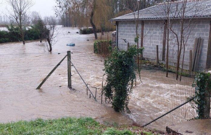 Impressive images of the Epte flood in the countryside around Gournay-en-Bray