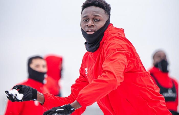 LOSC: Bruno Genesio thanks Akim Zedadka and meets Ousmane Touré