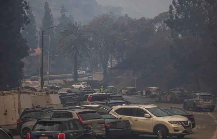 Palisades Fire: Sarah Michelle Gellar leads stars blasting LA mayor as gridlock cripples evacuations