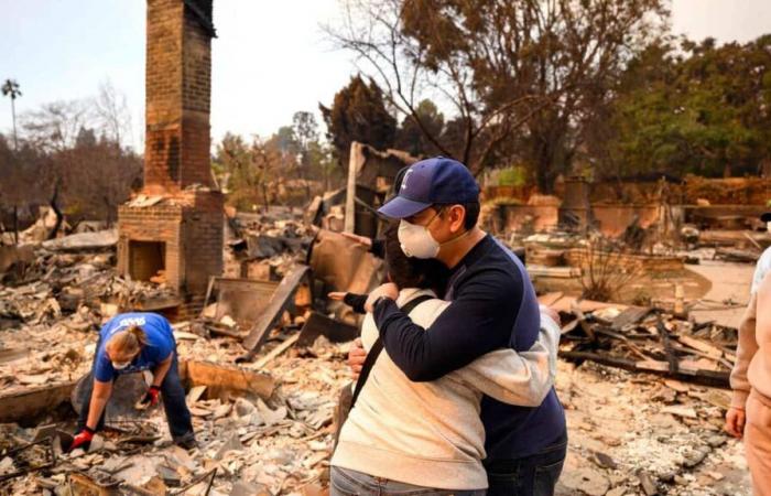 Insurers will be able to absorb the high cost of Los Angeles fires, according to a US agency