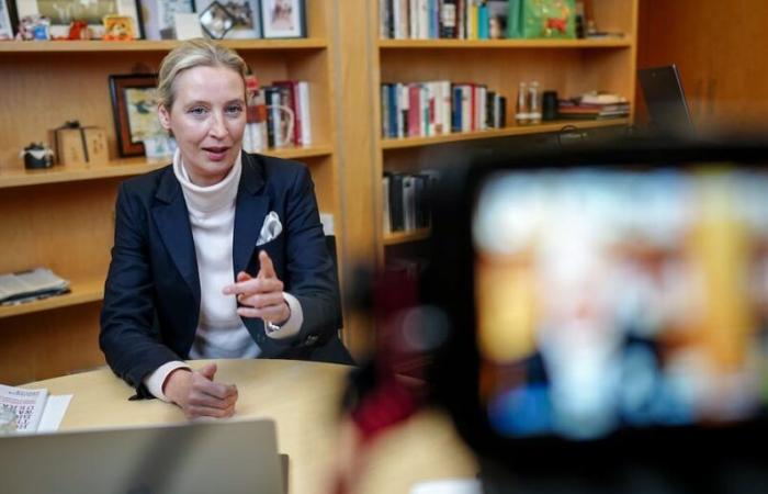 Lots of laughter, a bit of Hitler: That’s how Musk and Weidel’s conversation went