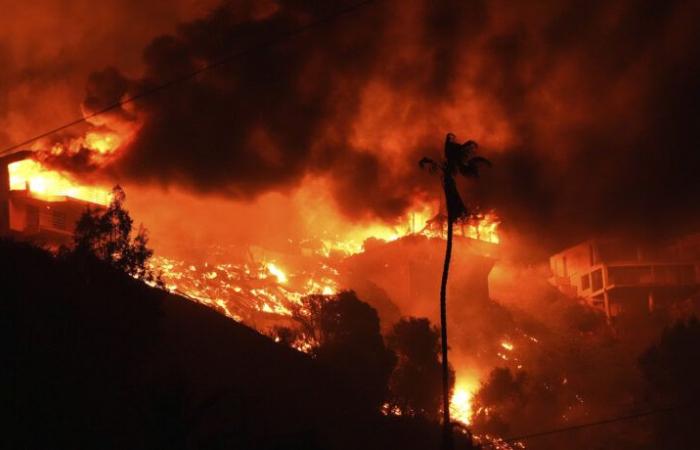 Megafires in Los Angeles: how to explain the scale of these “unprecedented” fires?