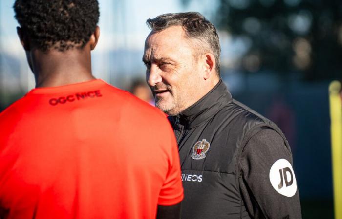 Returns, attack, opponent: the words of Franck Haise before Reims – Nice