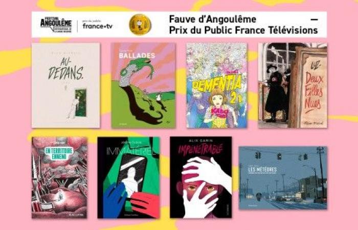 Selection of Fauve d’Angoulême – France Télévisions Audience Award 2025