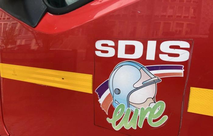 Eurois firefighters intervene 99 times during the day