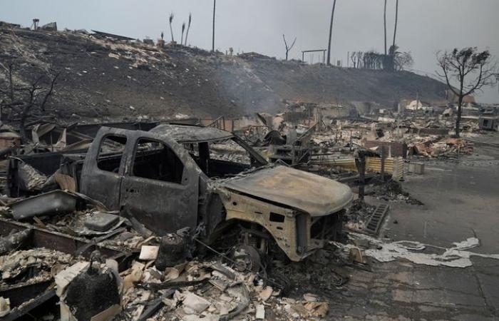 LA wildfires: Everything we know about the ferocious fires battering California | US News