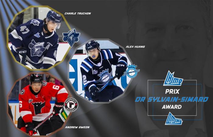 The QMJHL unveils the winners of the 2024 Dr Sylvain-Simard Prize