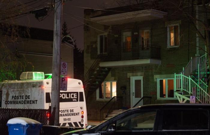 Murder in Longueuil: bloody dispute between neighbors