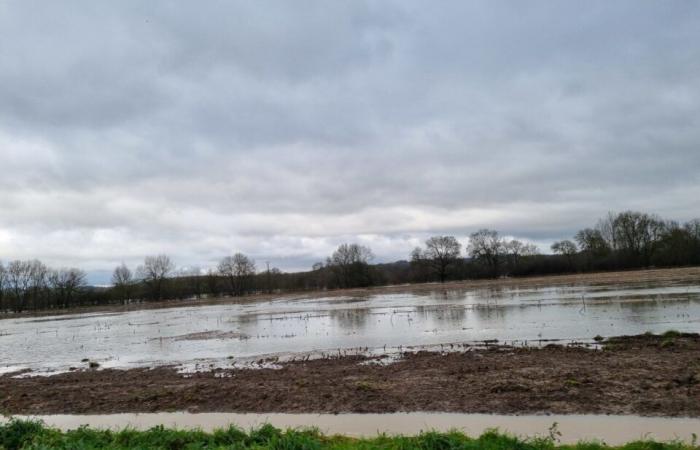 VIDEO. Floods, blocked roads… The Loir has emerged from its bed in the south of Sarthe