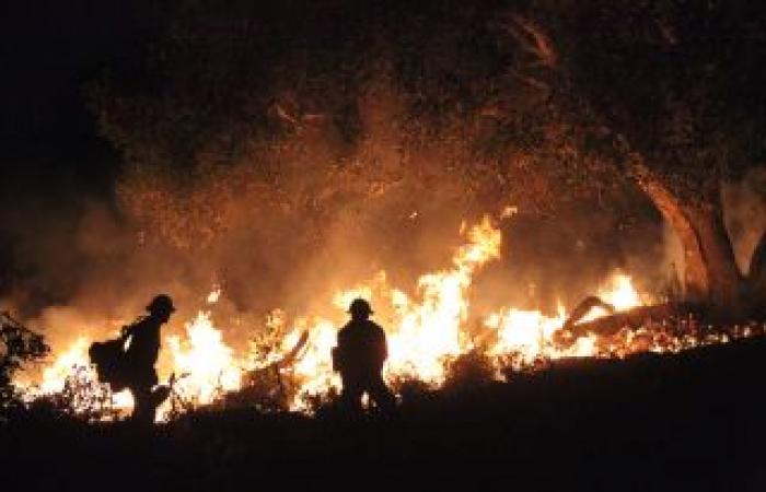 Experts: Los Angeles Fires | Press room