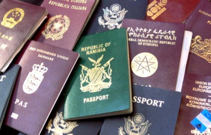 Travel. What are the 10 most powerful passports in Africa in 2025, according to Henley & Partners