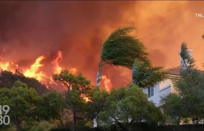 Out-of-control Los Angeles fires threaten Hollywood – rts.ch