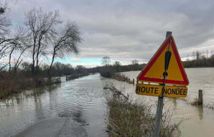 VIDEO. Floods, blocked roads… The Loir has emerged from its bed in the south of Sarthe