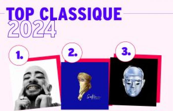 THE OFFICIAL RANKING OF ALBUM SALES IN FRANCE AND MUSICAL TRENDS FOR THE YEAR 2024