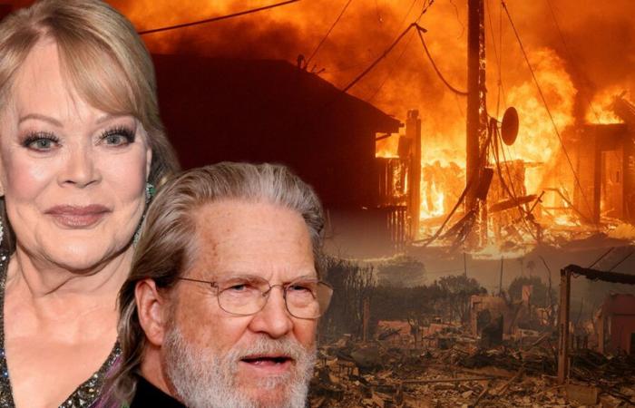 Jeff Bridges & Candy Spelling Lose Homes in Los Angeles Wildfires