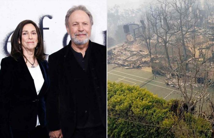 Billy Crystal and Wife Janice Reveal Their Home of 46 Years Burned Down in Palisades Fire