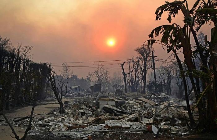 Los Angeles | The main fires are still raging