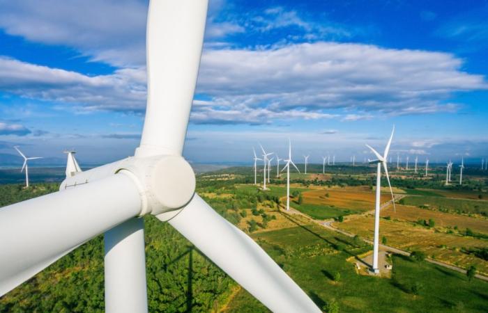 350 megawatt wind farm: Quebec says yes