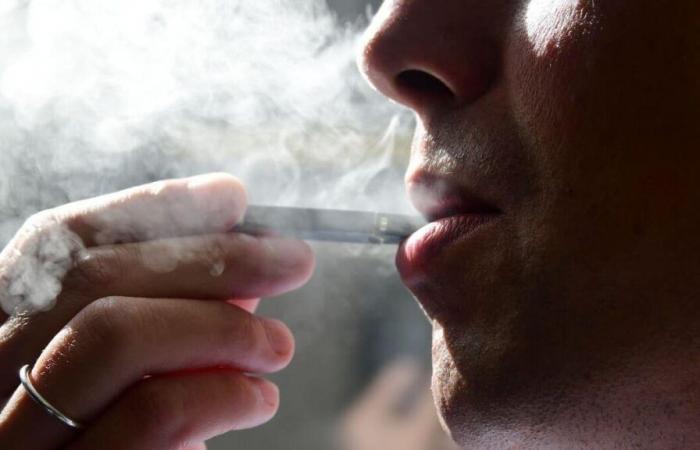 Nearly 200 drop-off points in Quebec: a new program in place to recycle e-cigarettes