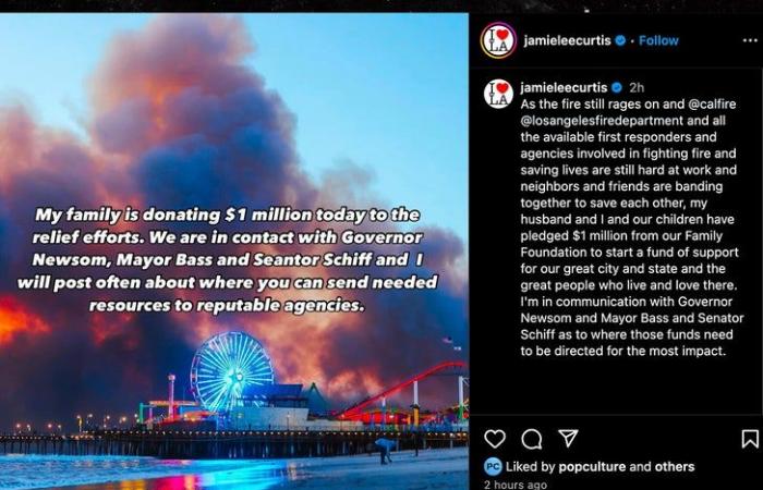 Jamie Lee Curtis and Other Celebs Torn Apart Over L.A. Wildfire Destruction