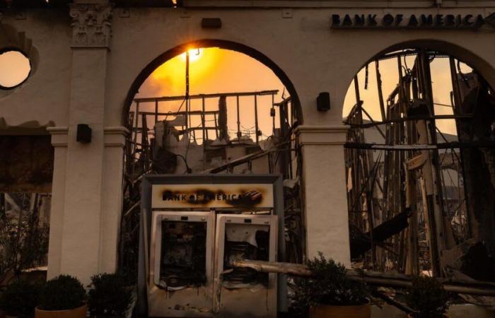 Thousands of Los Angeles homeowners were dropped by their insurers before the Palisades Fire