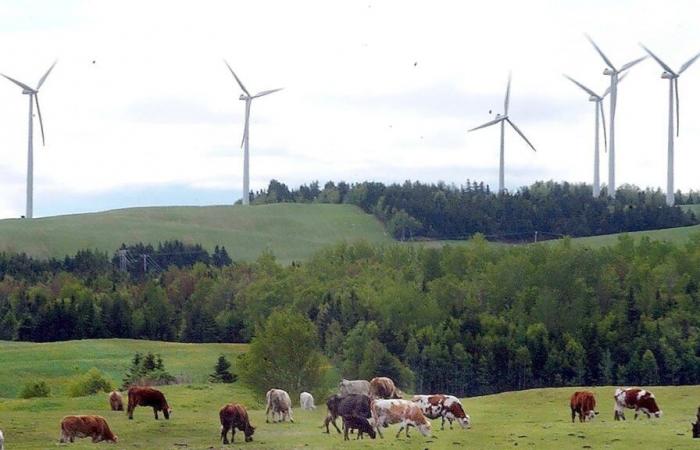 A new project of 20 wind turbines near Lac-Mégantic