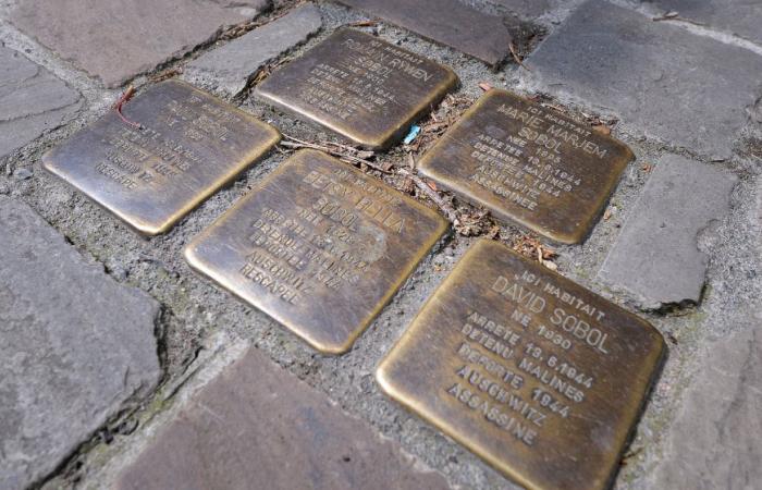 Shoah: two Anderlecht schools refuse to participate in the laying of the Pavements of Memory