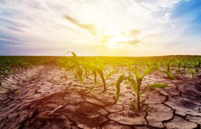 Water shortage and climate change: the new battle plan from the Ministry of Agriculture