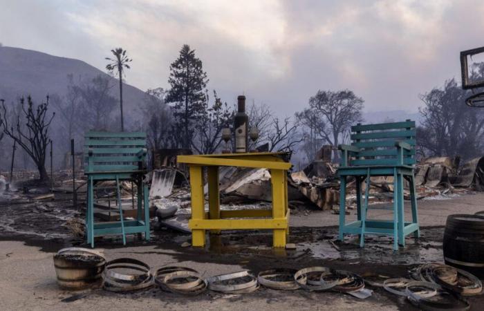 Palisades Fire destroys beloved restaurants, landmarks and schools along LA County coastline