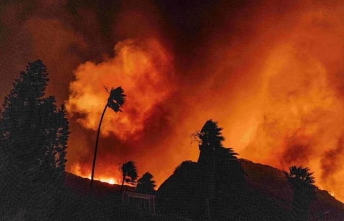 Evacuations, strong winds and damage: here’s what we know about the fires in Los Angeles