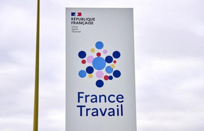 “Hello France Travail? The minister box does not exist! »