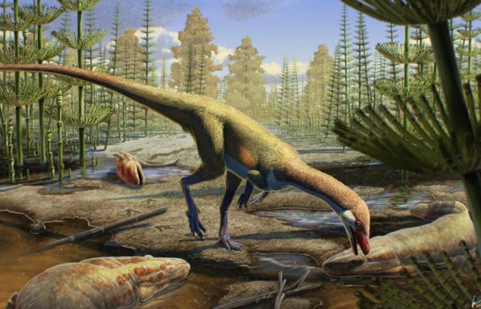 The origins of dinosaurs shaken by a new discovery