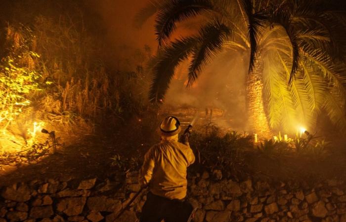 Crews battle fire in Hollywood Hills, knock down Studio City fire