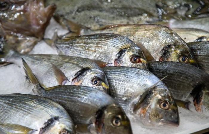 This fish that we all eat is dangerous for our health, we must not overdo it according to a study