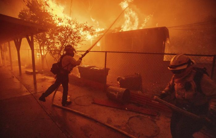 Why are there massive wildfires in California and what’s the solution? | World News