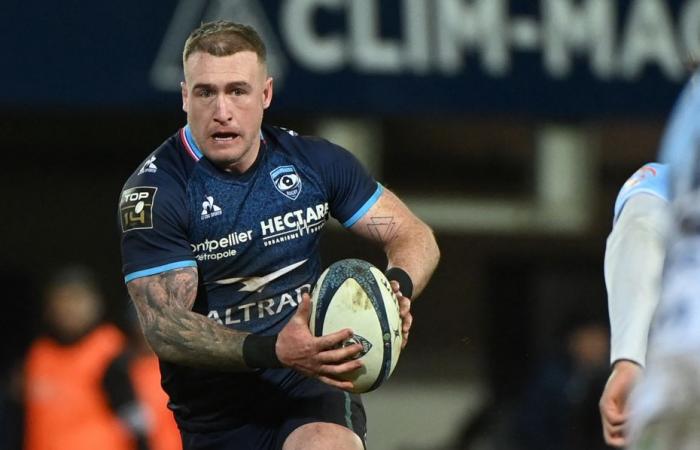 Rugby. Follow-up obligation for Stuart Hogg, Montpellier player convicted of domestic violence