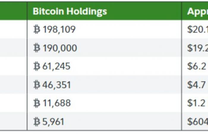 Bitcoin: For Fidelity, more countries will buy it in 2025 in the wake of the USA