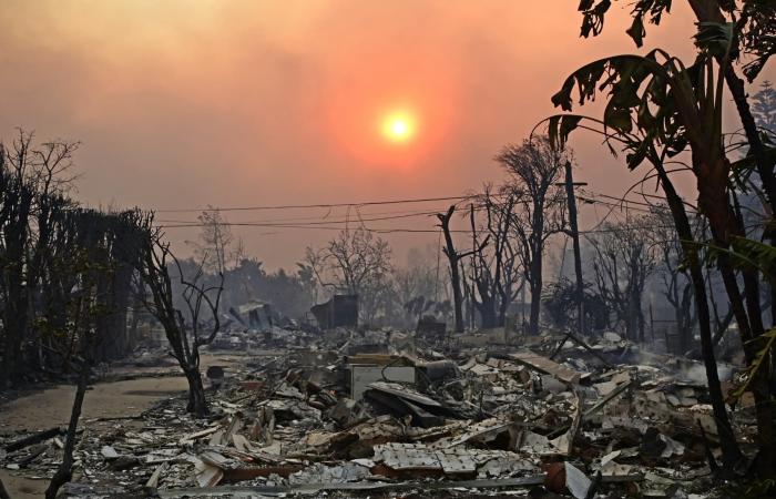 Drought, gusts of wind… How to explain such violent fires in Los Angeles in the middle of winter