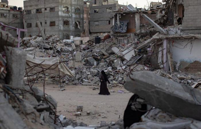 Gaza death toll underestimated by 40%, study finds