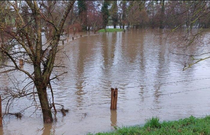 Impressive images of the Epte flood in the countryside around Gournay-en-Bray