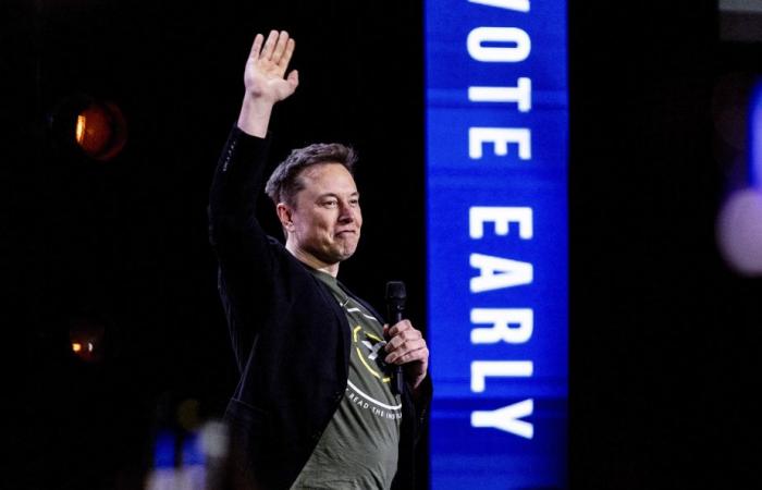 German far-right party | Elon Musk reiterates his support for the AfD