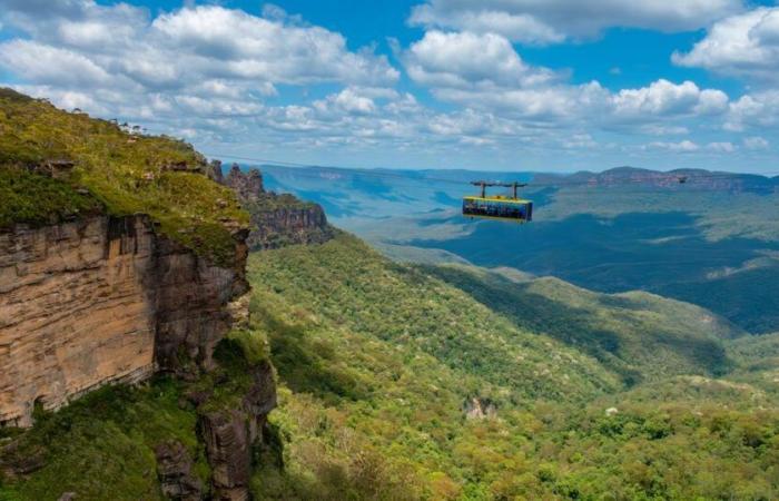 young hiker survives for two weeks on berries