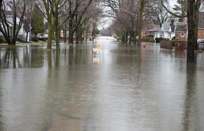 a very wet start to January but a clear improvement in the coming days