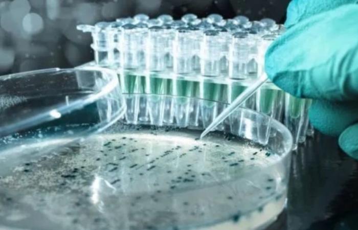 Israel: Major Breakthrough in the Fight Against Bacterial Resistance to Antibiotics