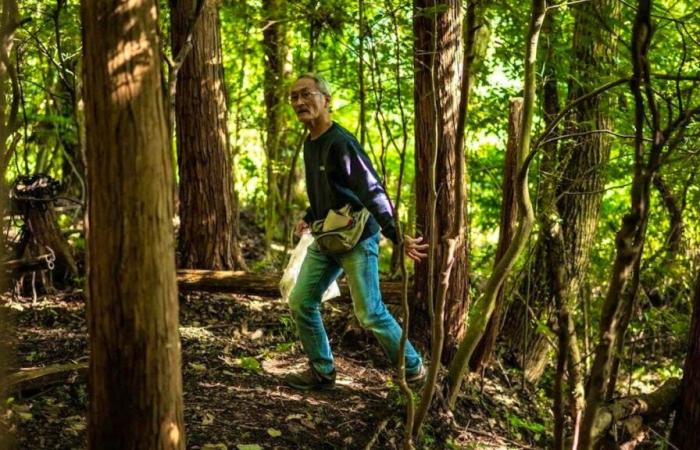 In Japan: The excrement master explains how to poop outdoors