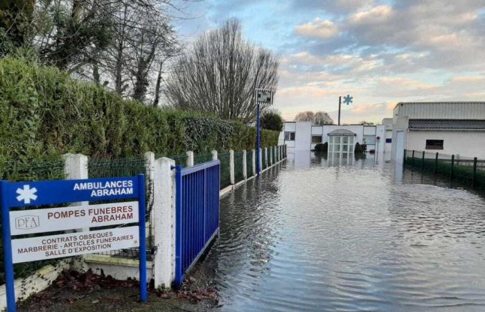 around thirty houses affected