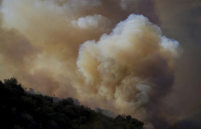 Fires in Los Angeles | The wind calms down, the criticisms multiply